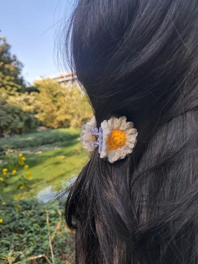 Crochet Daisy Clutcher